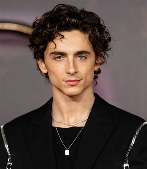 Timothée Chalamets Hair Was Looking Extra Curly This Week Gq