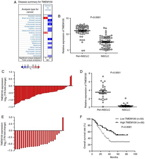 Tmem100 Negatively Regulated By Microrna‑106b Facilitates Cellular