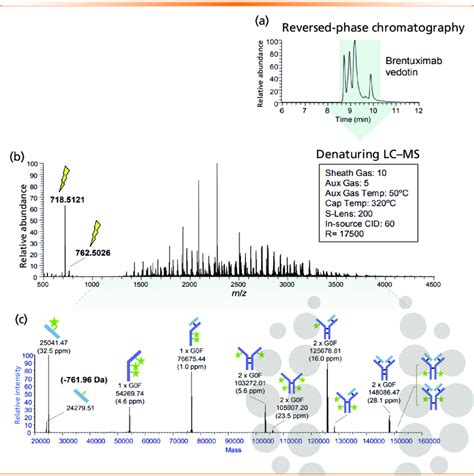 Denaturing Lc Ms Analysis Of The Adc Brentuximab Vedotin Adcetris