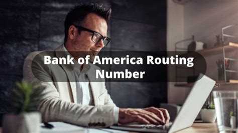 Metabank Routing Number Wise Business Plans