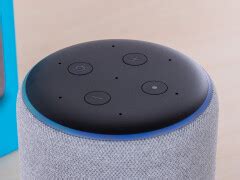 Mit Alexa Musik H Ren Und Streamen So Geht S Netzwelt