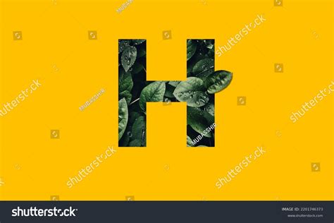 Capital Letter H Text Design Stock Photo 2201746373 | Shutterstock