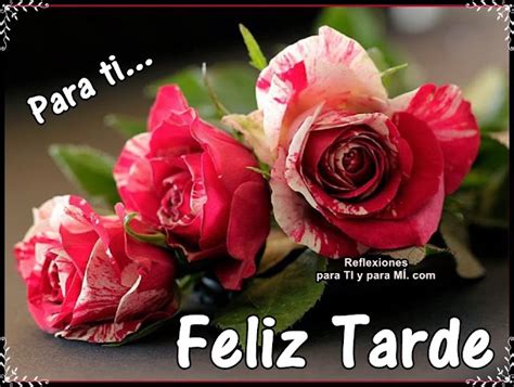 Buenos Deseos para TI y para MÍ Para ti Feliz Tarde 3 rosas