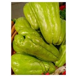 Jual Labu Siam Premium Jakarta Barat Bakoel Sayur Online Tokopedia