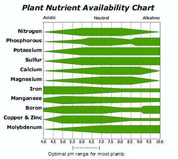 Measuring pH in Cannabis Plants - Growbarato Blog