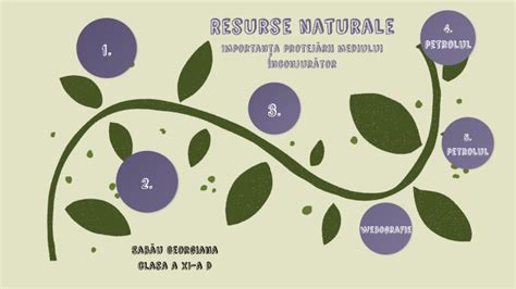 resurse naturale  georgi alexandra  prezi