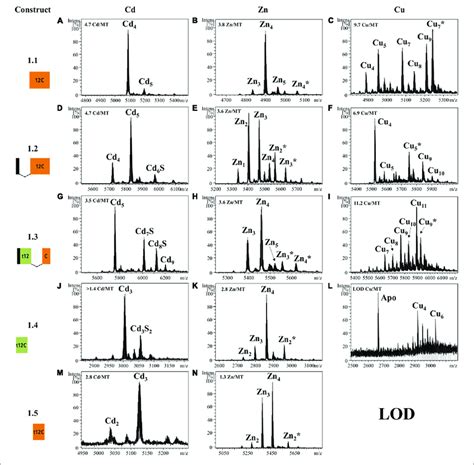 Deconvoluted ESI MS Spectra Recorded At PH 7 0 Of OdiMT1 Constructs