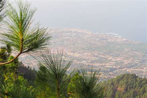 Calima Haze Envelops The Canary Islands Today S Weather Outlook