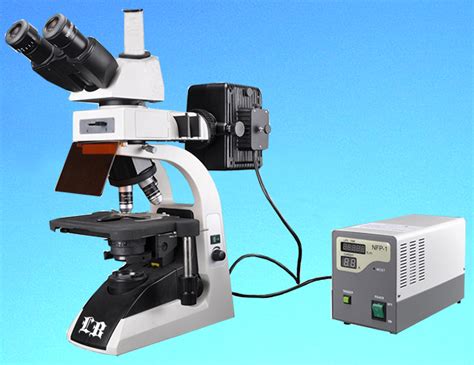 Labomed Inc Lb 279 Fluorescent Trinocular Biological Microscope With