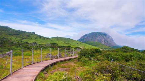 Penginapan Terbaik Di Jeju Hotel Yang Membuat Petualangan Di Pulau