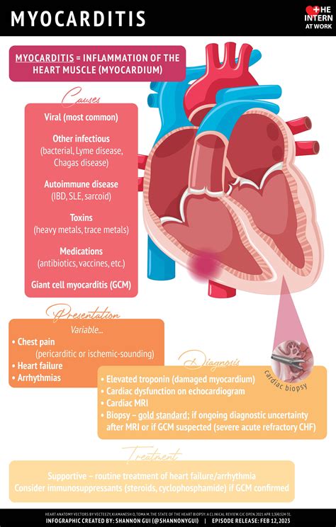 Myocarditis The Intern At Work