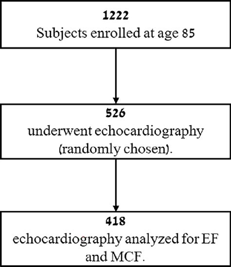 Participant Flow Chart Download Scientific Diagram