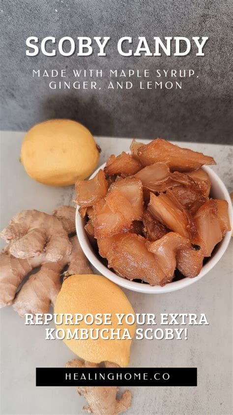 Kombucha Scoby Candy Healing Home Recipes
