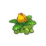 Ivysaur sprites gallery | Pokémon Database