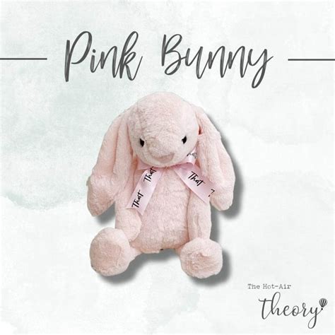 Pink Bunny Plush Toy – The Hot Air Theory