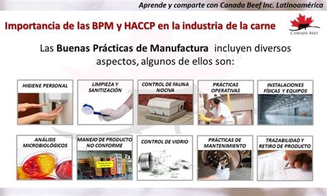 Bpm Y Haccp 10 Canadian Beef