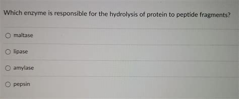 Solved Which Enzyme Is Responsible For The Hydrolysis Of Chegg