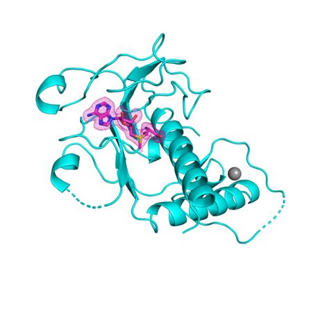 Mount Sinai researchers unravel the crystal s | EurekAlert!