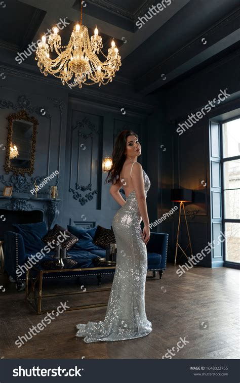 Chic Sexy Brunette Tight Evening Silver Stock Photo 1648022755 Shutterstock