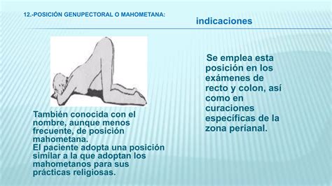 Posiciones Corporales B Sicas Pptx