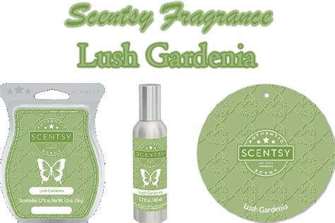 Scentsys Lush Gardenia Brings The Creamy Full Scent Of Classic Gardenia With A Whisper Of