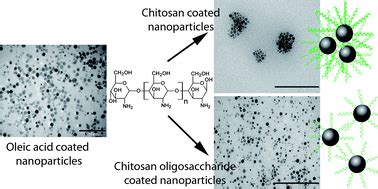 Water Dispersible Iron Oxide Nanoparticles Coated With Covalently