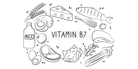 Vitamin B7 Biotin Groups Of Healthy Products Containing Vitamins Stock