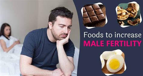 What Is Male Fertility And Best Foods To Increase Male Fertility Or