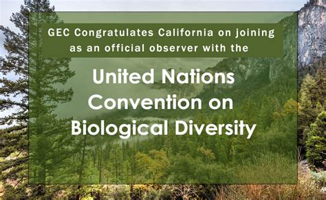 California Has Become An Official Observer With The Convention On