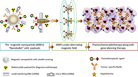 Magnetic Nanoparticle Induced Hyperthermia With Appropriate Payloads