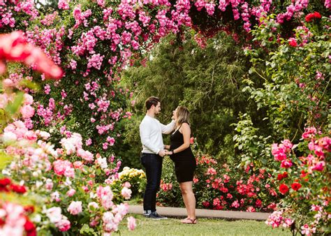 International Rose Test Garden Maternity Session Portland Oregon