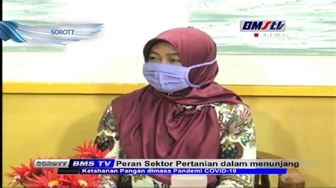 Peran Sektor Pertanian Dalam Menunjang Ketahanan Pangan Dimasa Pandemi