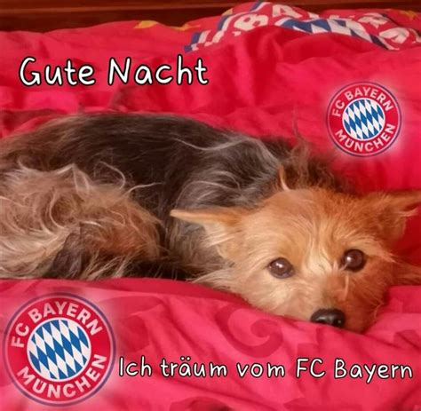 Pin Auf Bayern München Gute Nacht