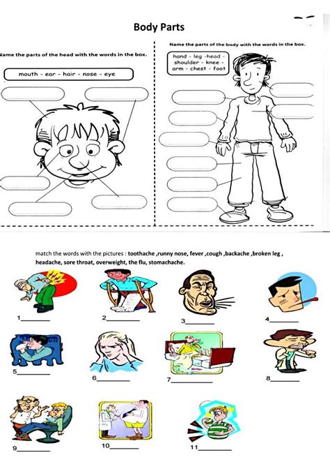 Body Parts Health Problems Worksheet Lesson