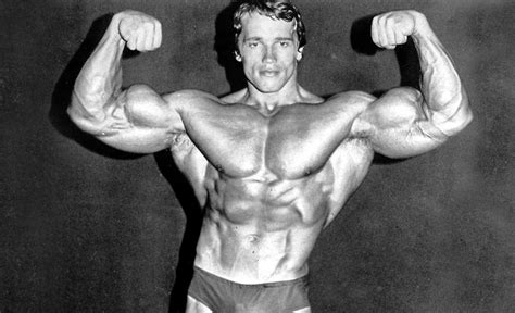 Arnold Split 6 Day Workout Plan What Is It Complete Guide