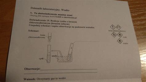 Uzupenij Schemat Dotyczcy Uzyskiwania Energii Przez Organizmy Question