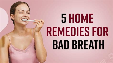 Dental Health 5 Home Remedies To Treat Bad Breath