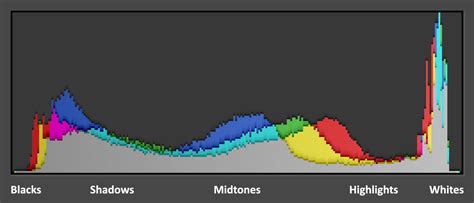 Histograms in Photography: A Guide | PetaPixel