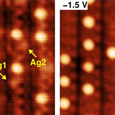 8×8 Nm 2 Stm Topography Of The Same Area Of The Si 111 5×2 Au Surface Download Scientific