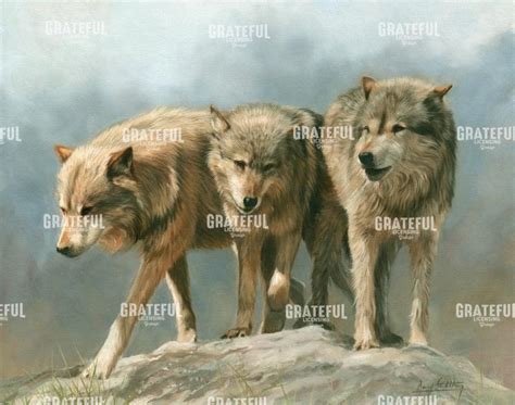 three wolves - Grateful Art Licensing