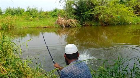 Rohu Fishing Baam Fishing Rohu Fish Catching Silver Carp Fish