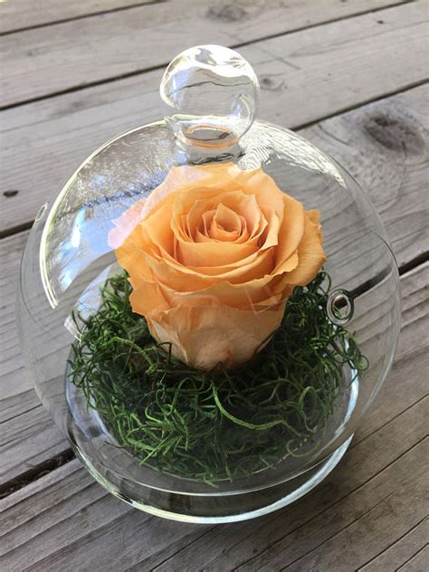 Preserved Rose In Glass Dome Iron Garden Decor