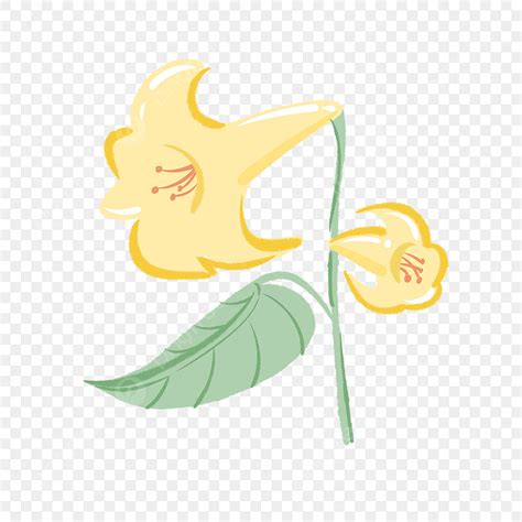 Yellow Trumpet Illustration Yellow Flowers Cartoon Illustration