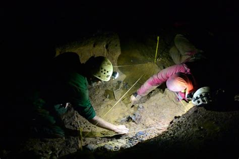 Pesquisadores Paraenses Descobrem F Ssil De Pregui A Gigante Em