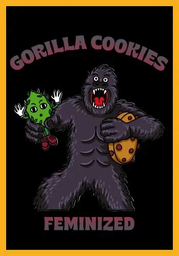 Simba Seeds Gorilla Cookies Feminized Presidents Seeds