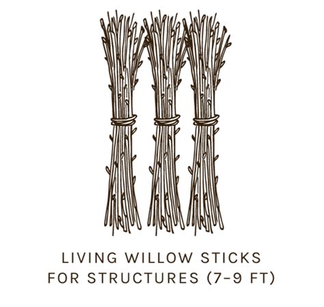 Live Willow Cuttings — LIVING WILLOW FARM