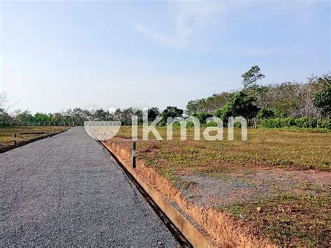 Land For Sale In Horana Millaniya Ikman