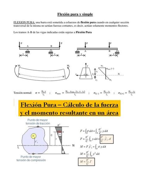 Flexion Pura Y Simple Stheven Segurra Udocz