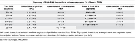 √無料でダウンロード！ Double Stranded Rna Virus Examples 284764 Double Stranded Dna Virus Definition