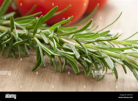 Fresh Green Twigs Of Rosemary Close Up Stock Photo Alamy